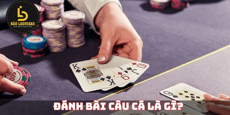 Đánh bài câu cá là gì?