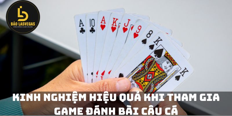 Kinh nghiệm hiệu quả khi tham gia game đánh bài câu cá