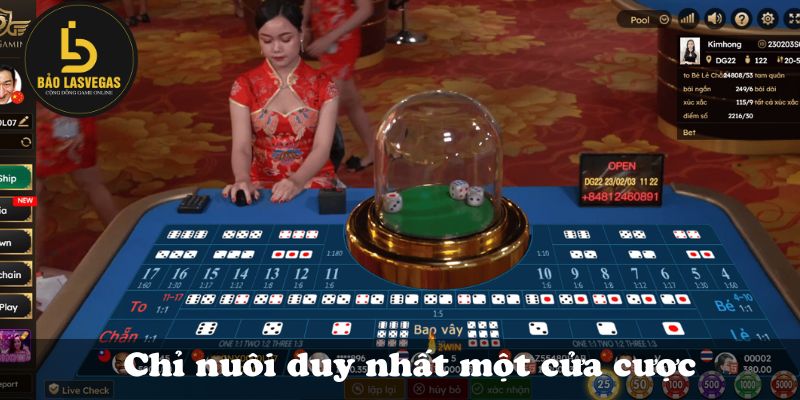 Chỉ nuôi duy nhất một cửa cược