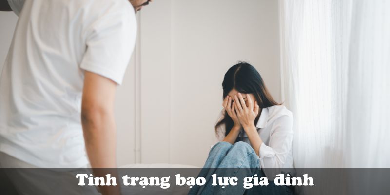 Tình trạng bạo lực gia đình